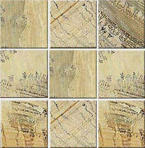 fossils in floor tiles