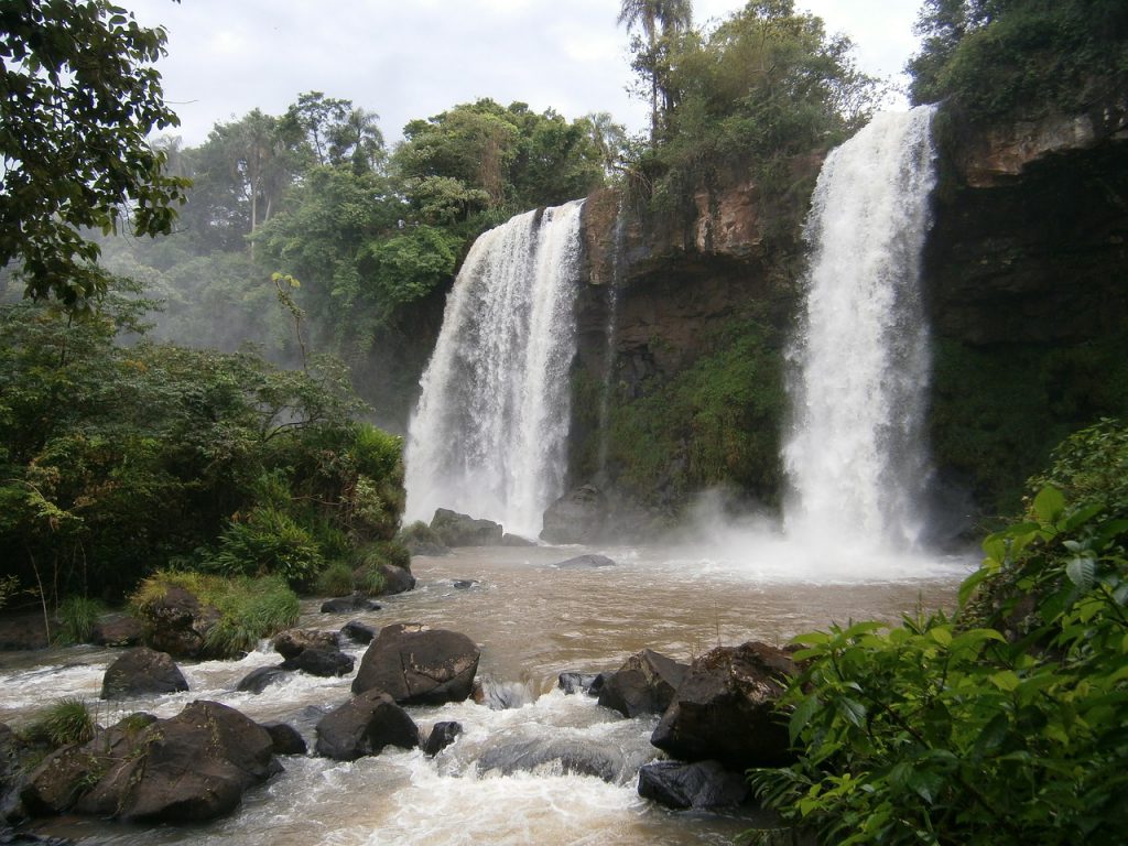 Cascade in the Rainforest