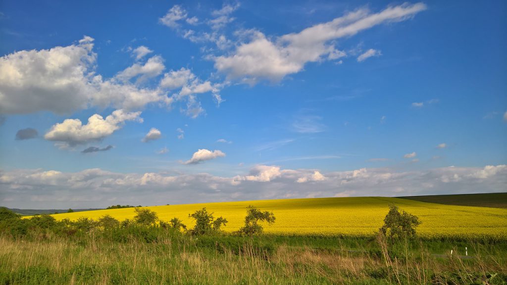 Farmers Field