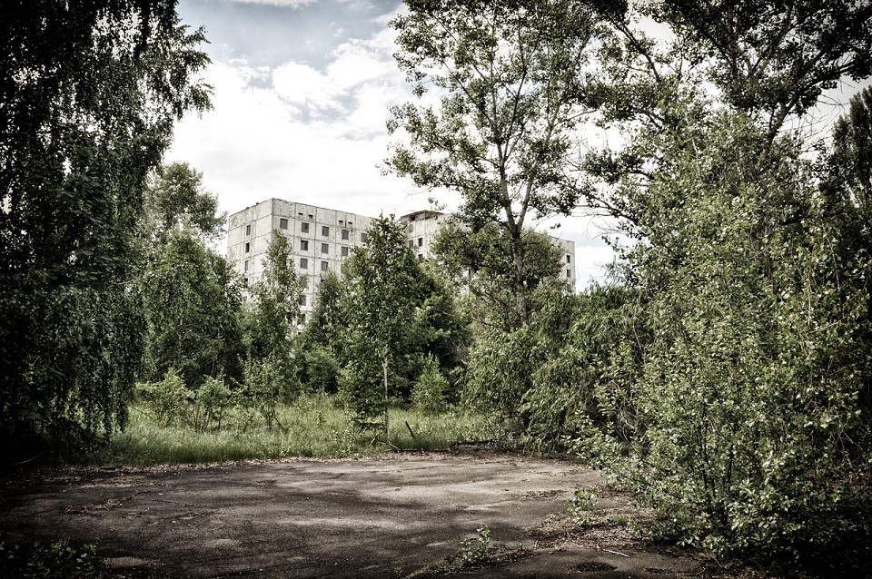 Nature taking over