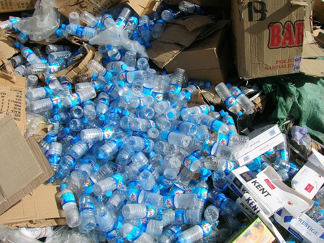 Plastic Bottles