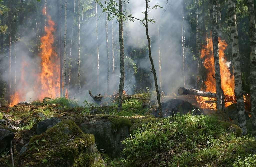 Destructive Fire