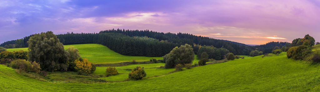 Panorama