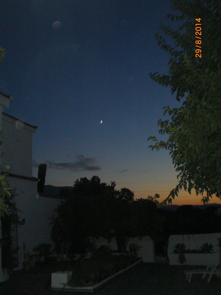 one lovely evening on the patio