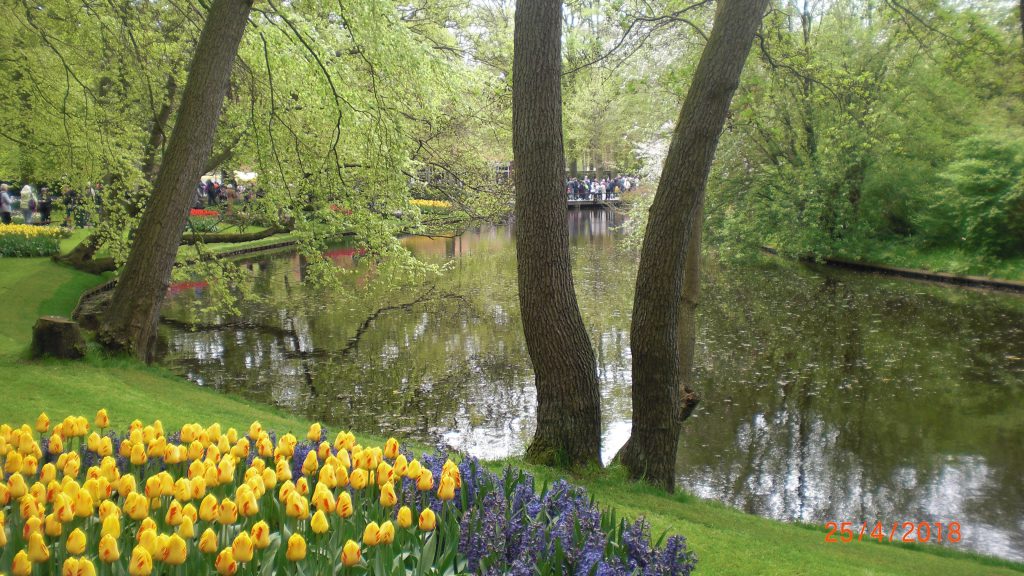 beautiful vieuws