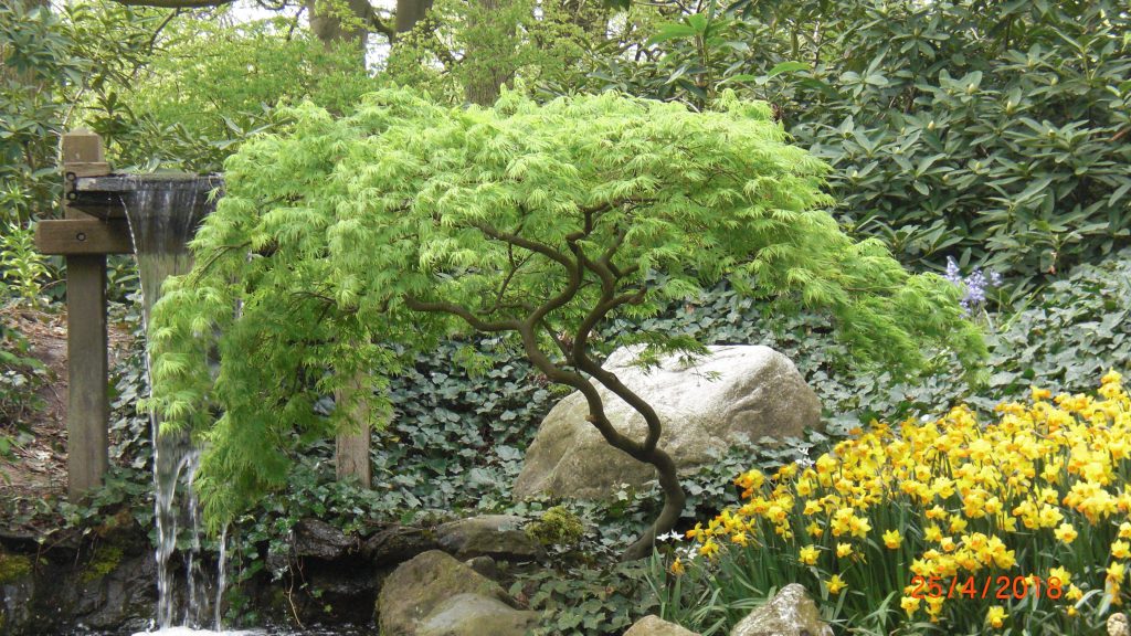 a prety water cascade
