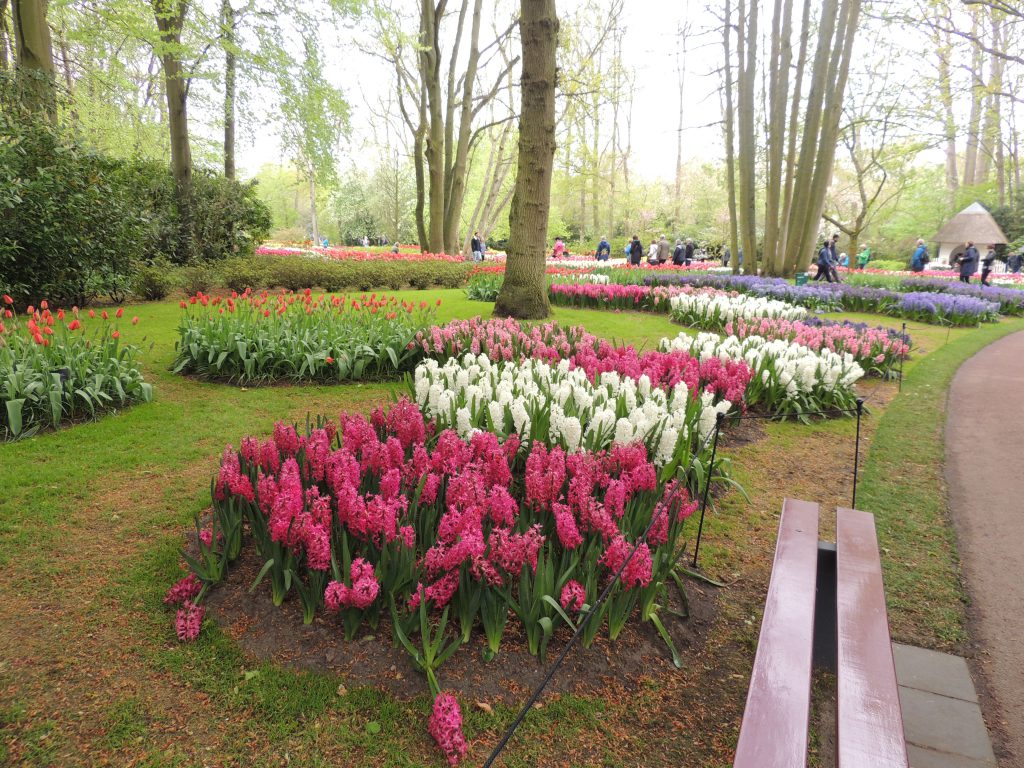 a beautiful park