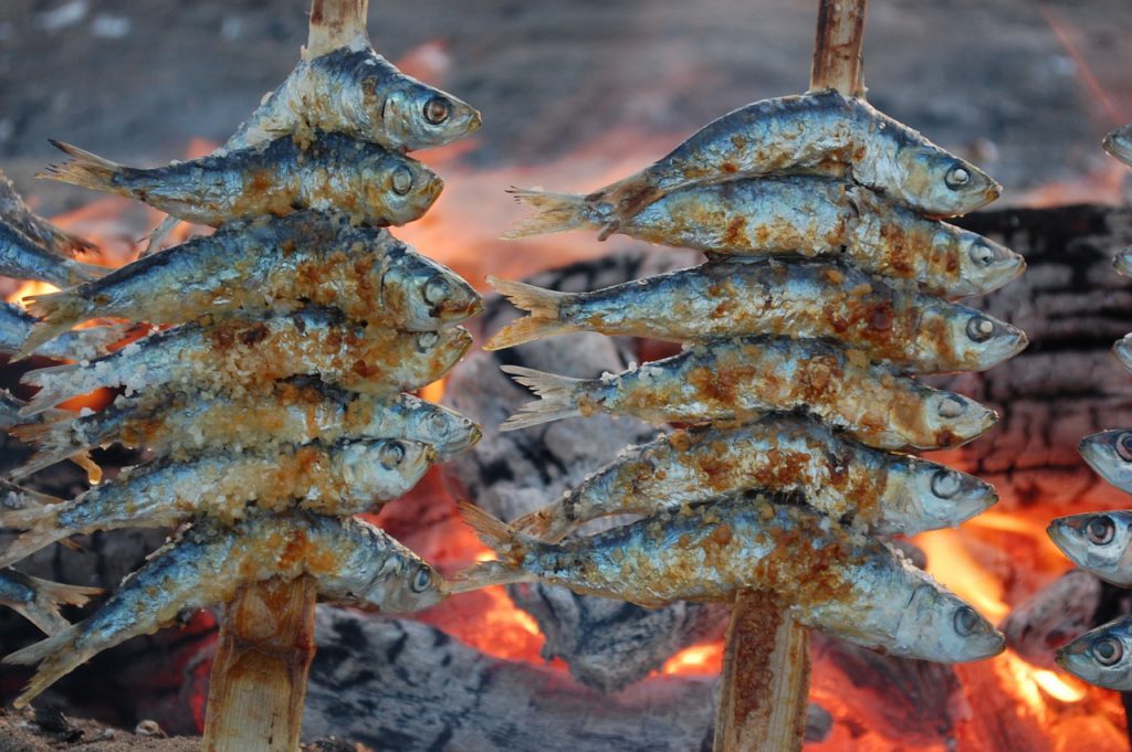 Sardines on the beach
