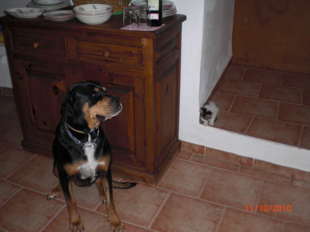 Sasha meets Cindy for the first time