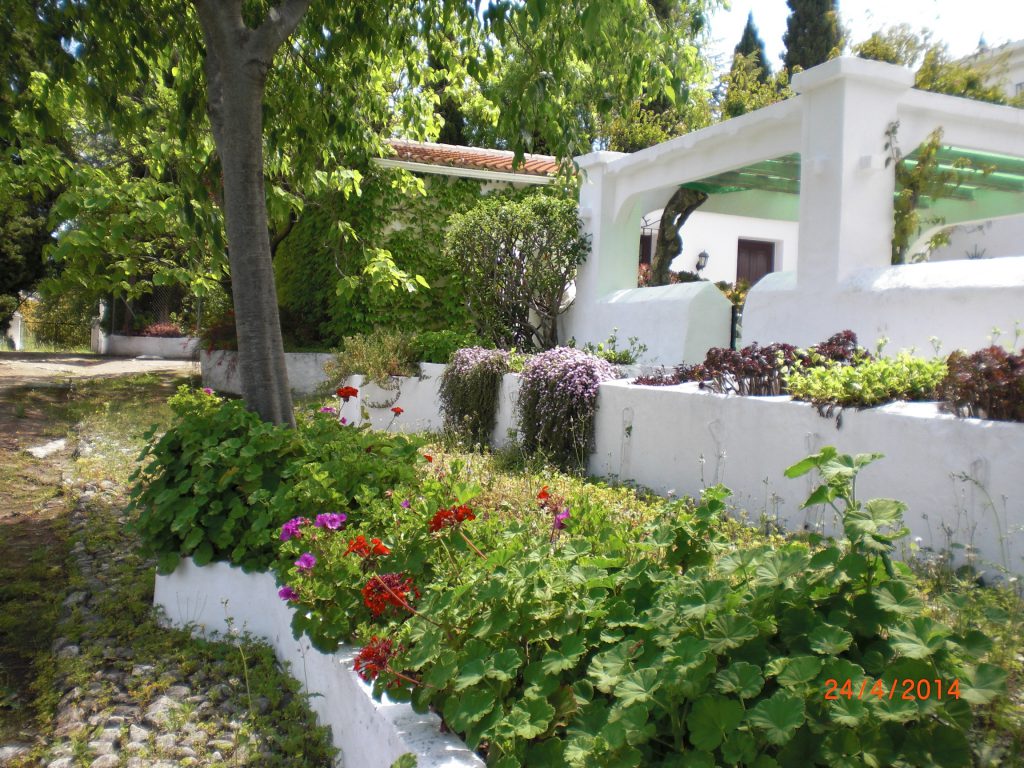 behind the patio