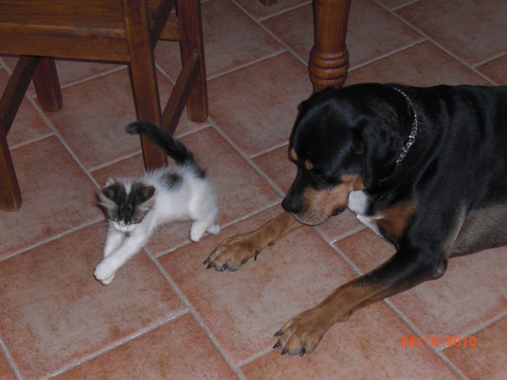 cindy and sasha best of friends
