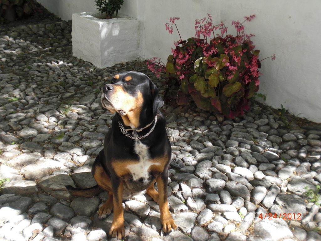 cindy looking prety