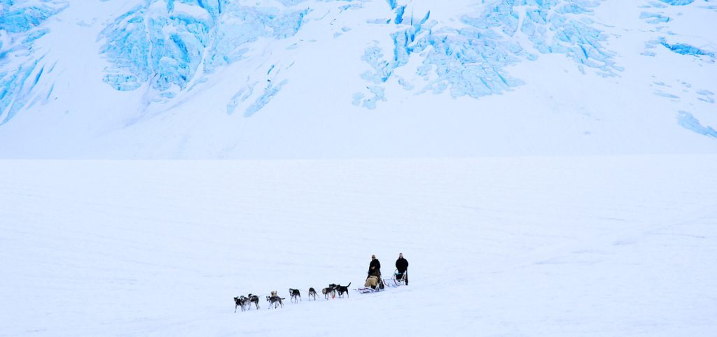 team with dog-sled on the ice