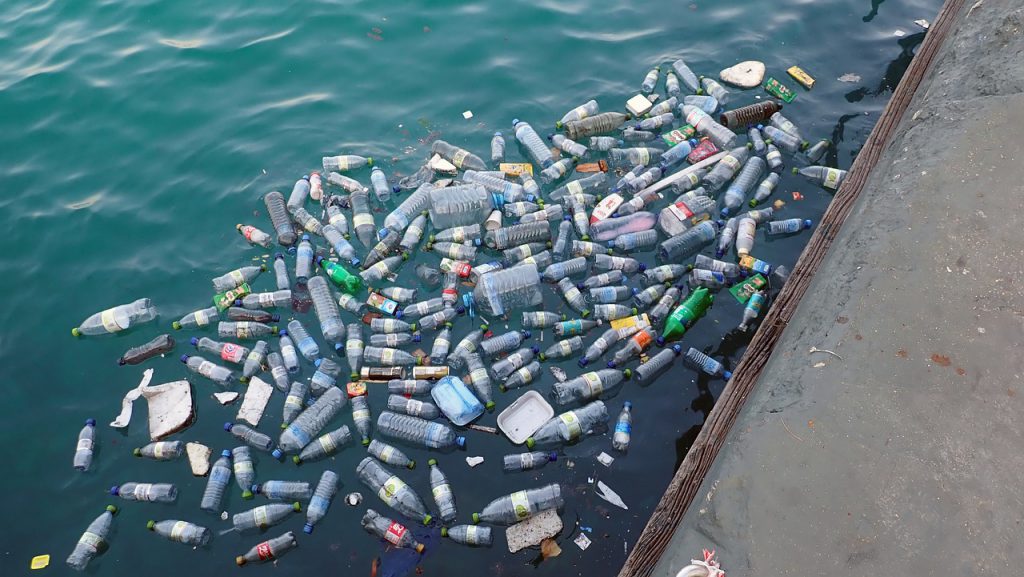 plastic waste in harbour