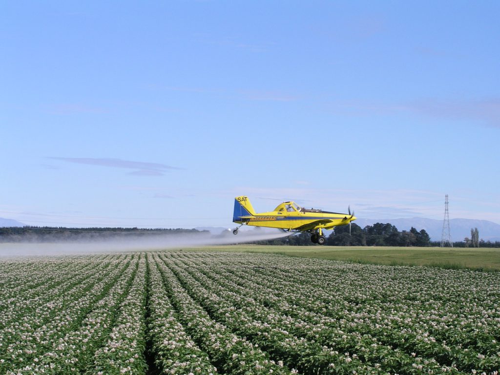 the spraying of the crop with a small airplane