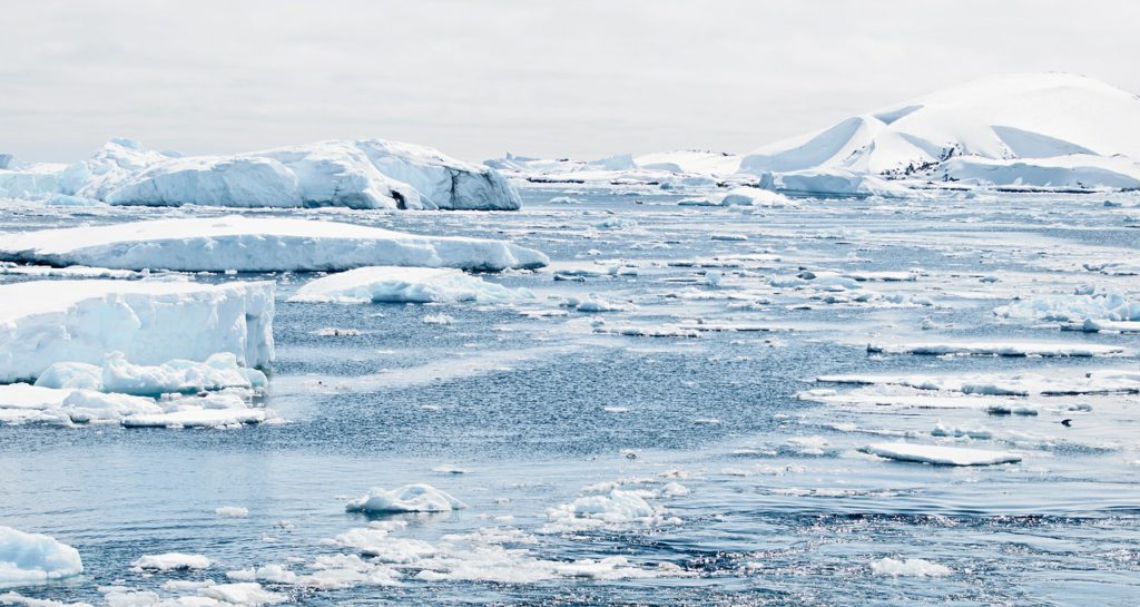 antarctica 