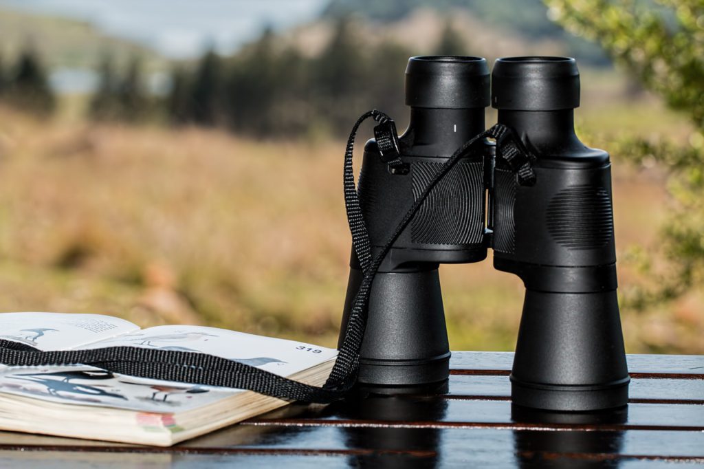 binoculars is an important observation tool