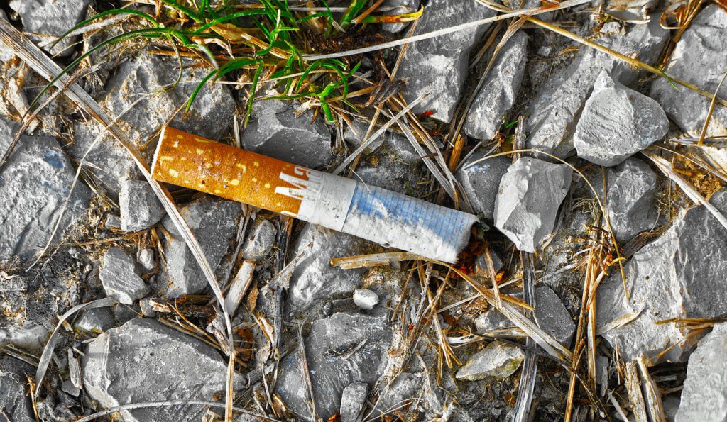 cigarette butt polluting nature