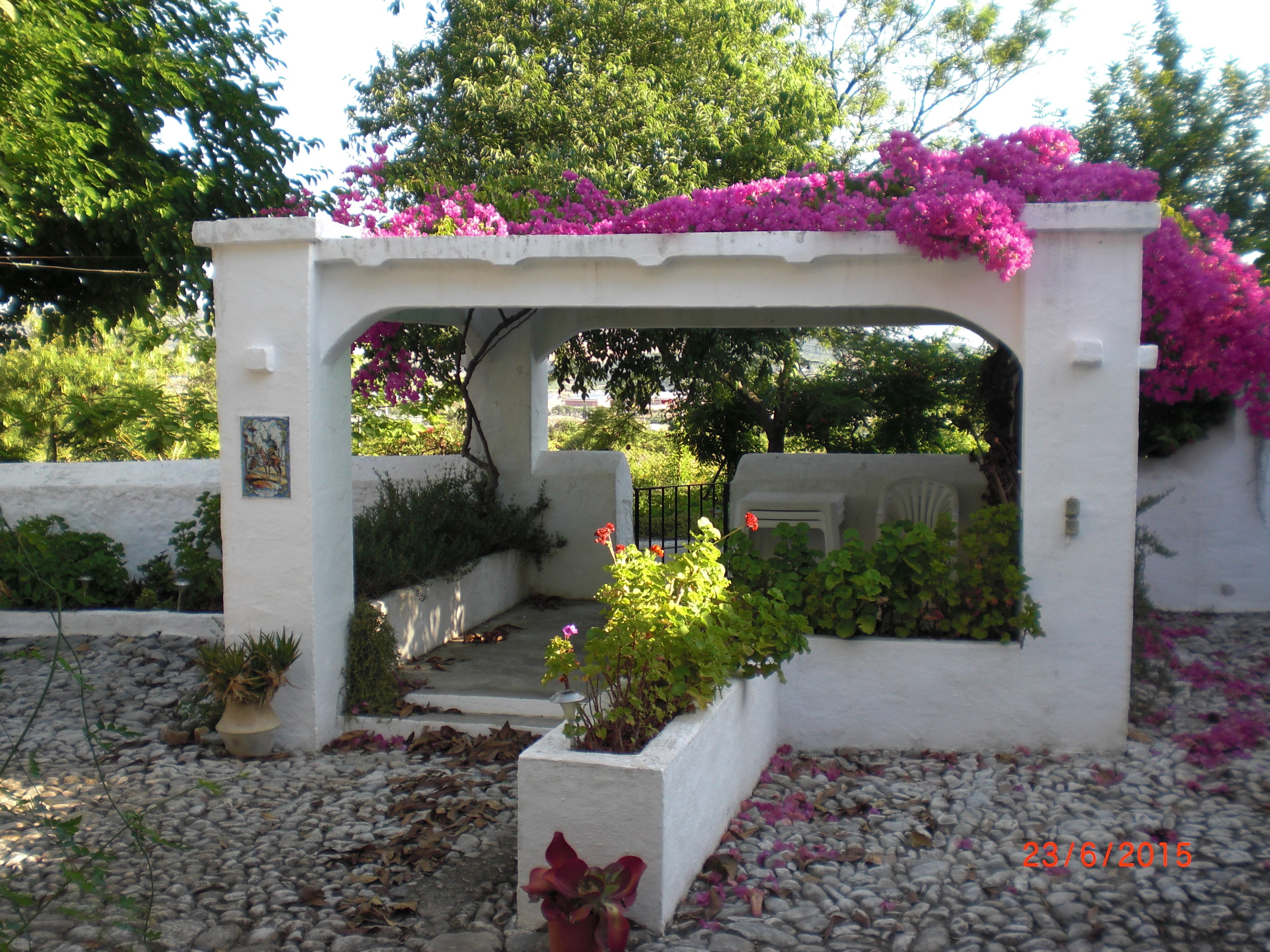The Pergola on the Patio
