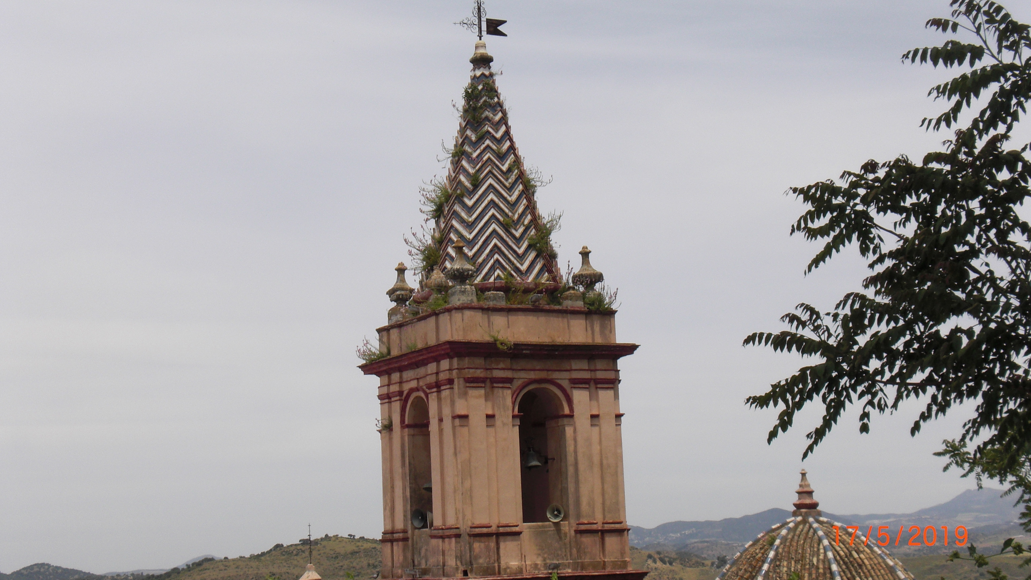 Grasses growing on the church tower