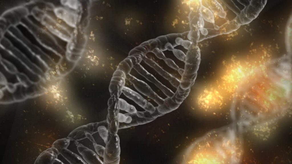 DNA close-up