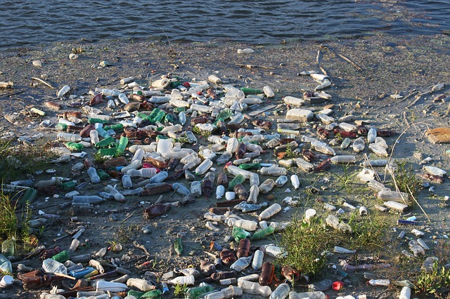 Bottles polluting the Beach