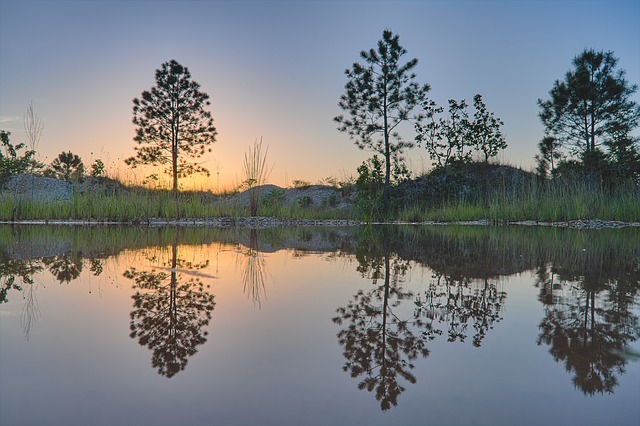 Trees and beautiful lake
