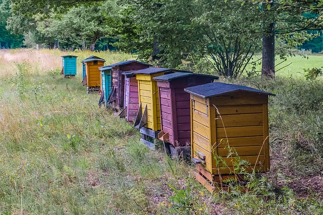 Colorful Beehives