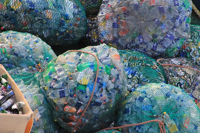 Collected Plastic Bottles