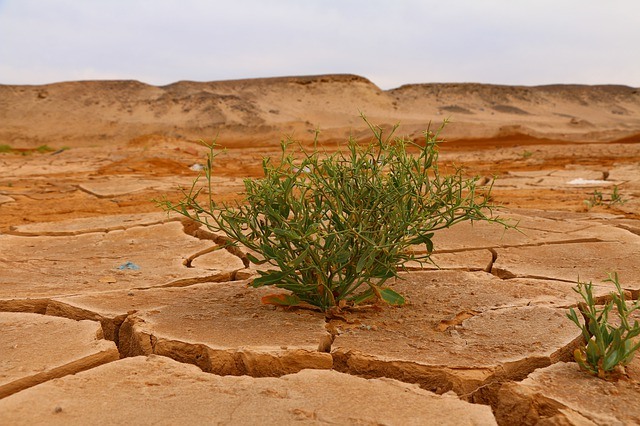 Mother Earth is drying out